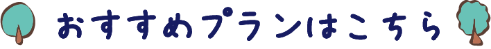 おすすめプランはこちら